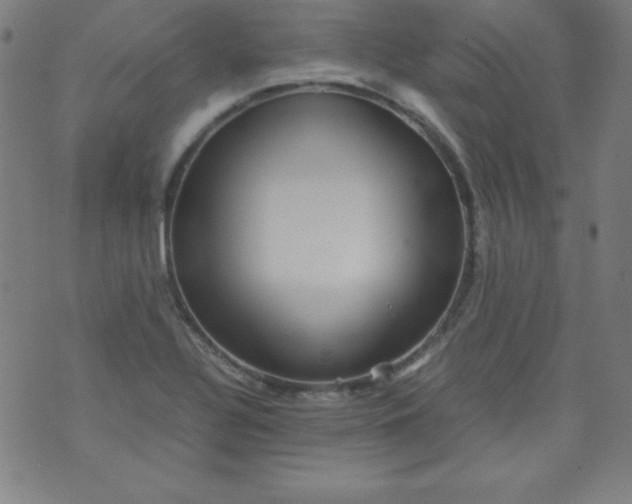 X0000070411320200606231818