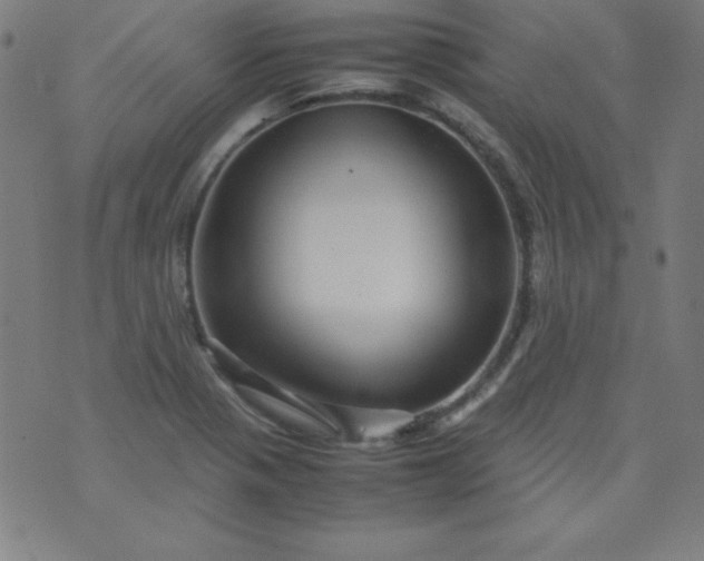 X0000070411321200606231818