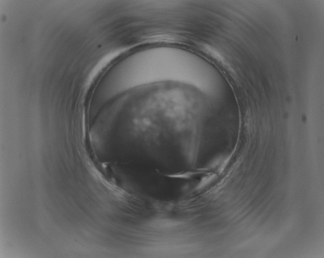 X0000070411323200606231818