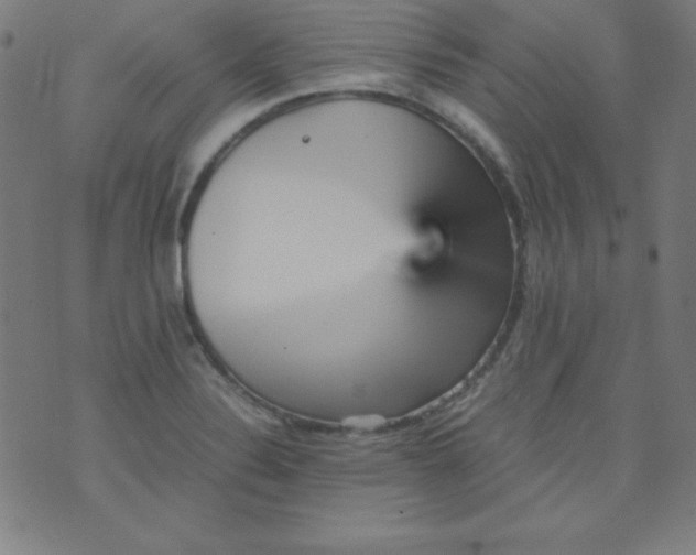 X0000070411324200606231818