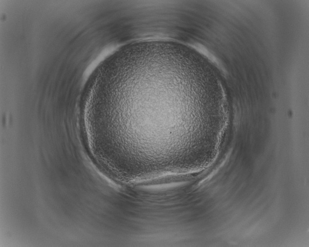 X0000070411325200606231818