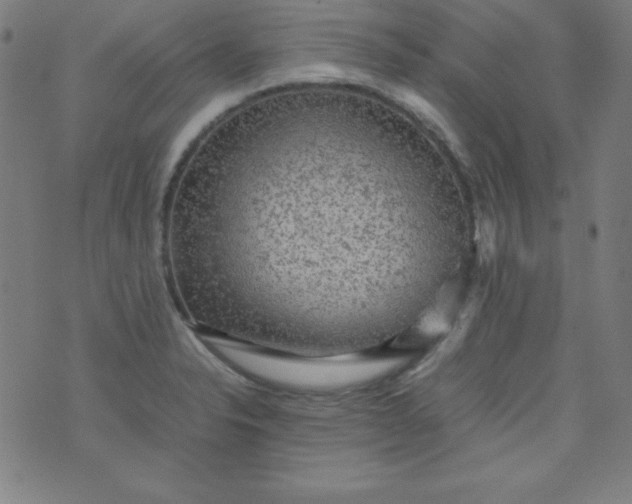 X0000070411326200606231818