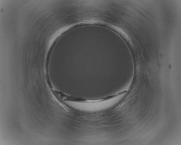 X0000070411327200606231818