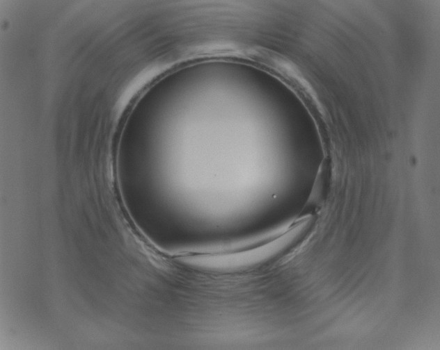 X0000070411328200606231818