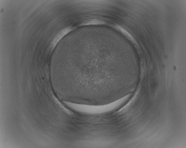 X0000070411329200606231818