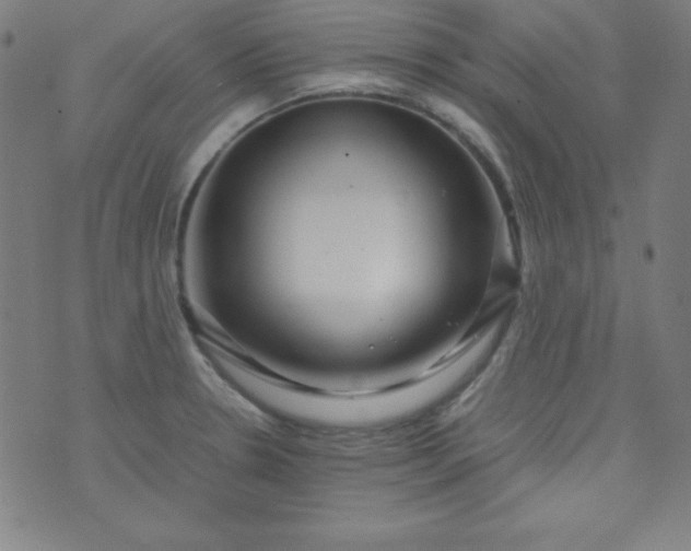 X0000070411330200606231818