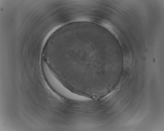 X0000070411331200606231818