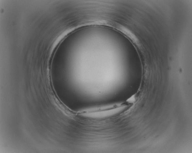 X0000070411332200606231818