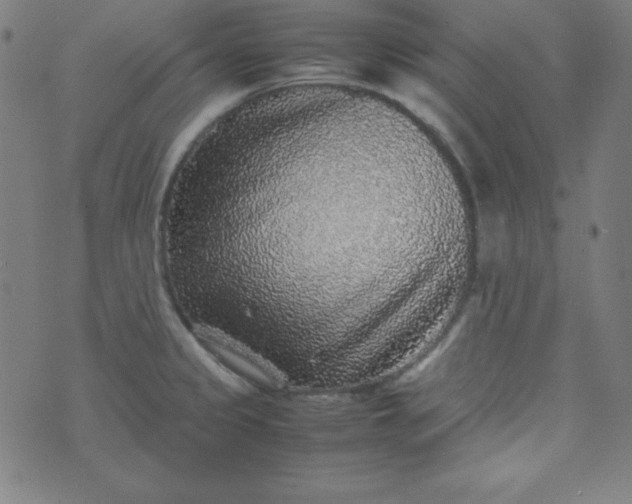 X0000070411333200606231818