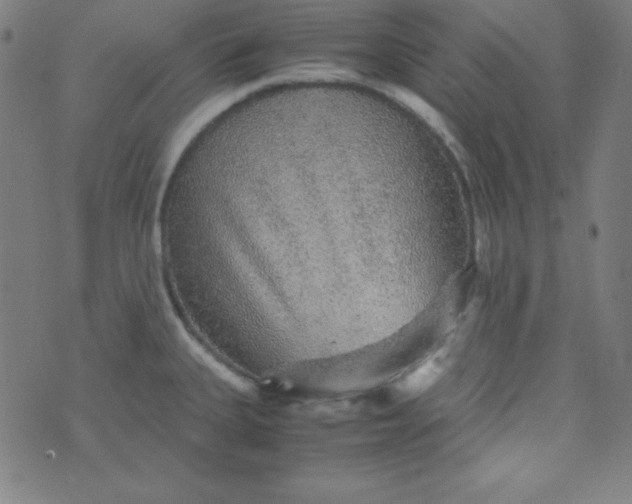 X0000070411335200606231818