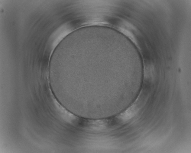 X0000070411338200606231818