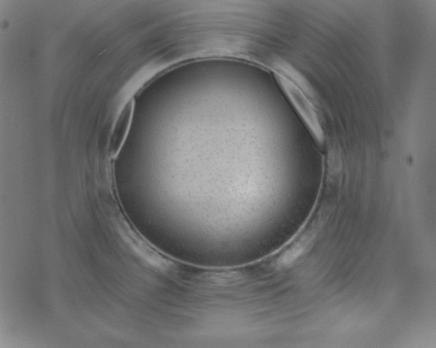 X0000070411340200606231818