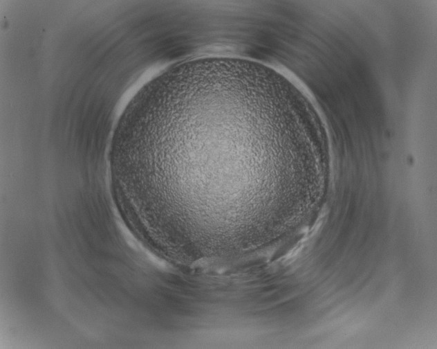 X0000070411341200606231818