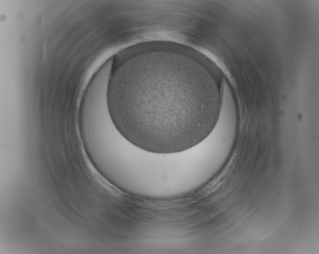 X0000070411342200606231818