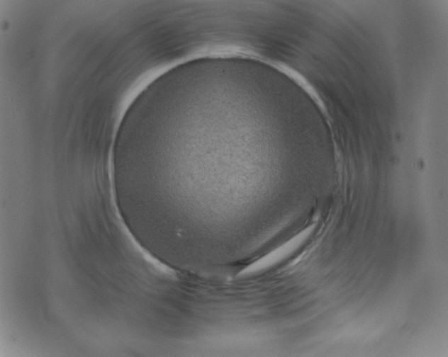 X0000070411343200606231818