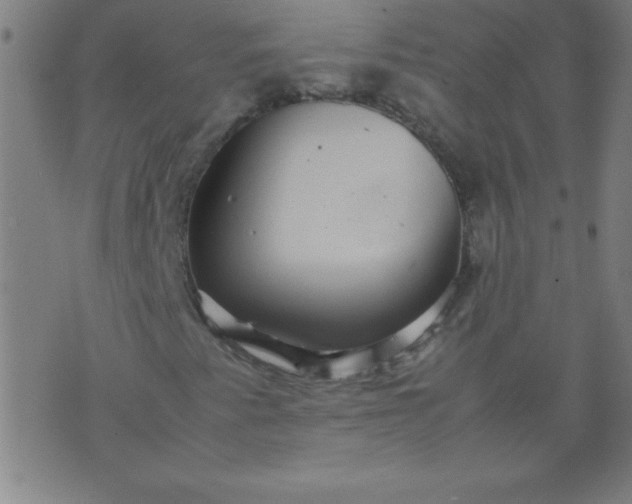 X0000070411345200606231818