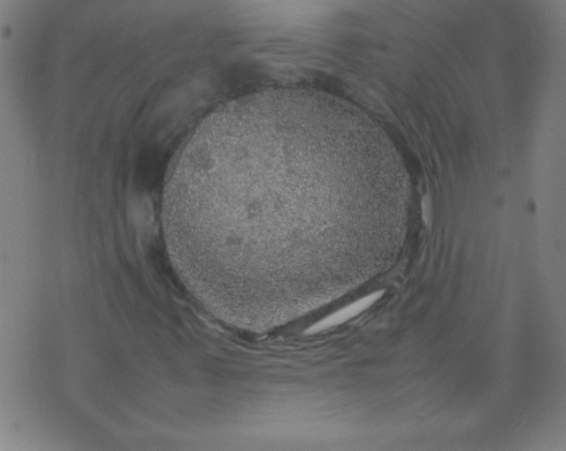 X0000070411347200606231818