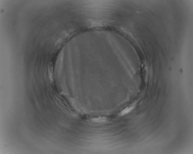 X0000070411348200606231818