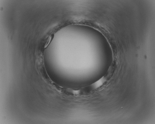 X0000070411349200606231818