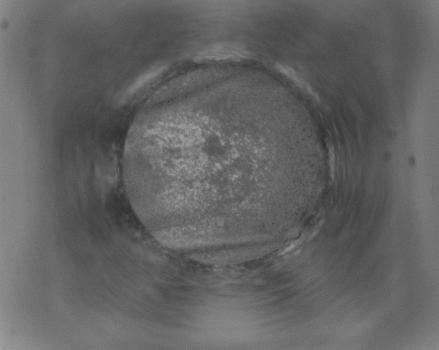 X0000070411350200606231818