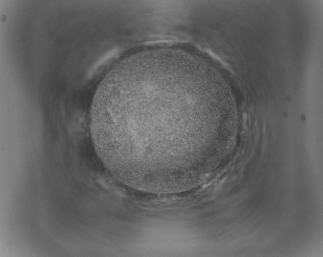 X0000070411351200606231818