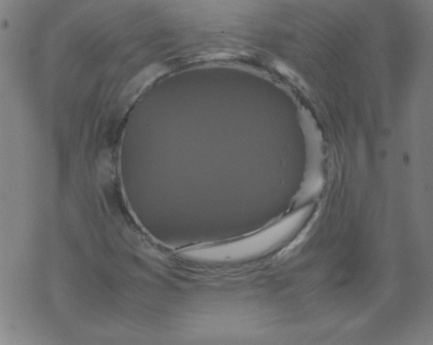 X0000070411353200606231818