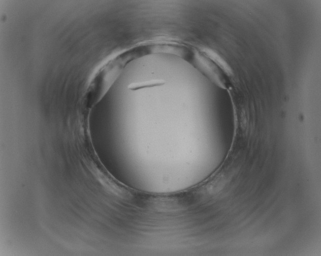 X0000070411356200606231818