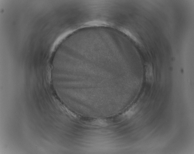 X0000070411358200606231818