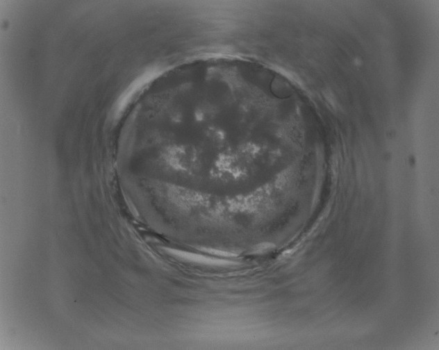 X0000070411359200606231818