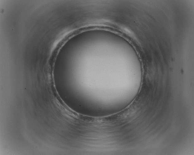 X0000070411360200606231817