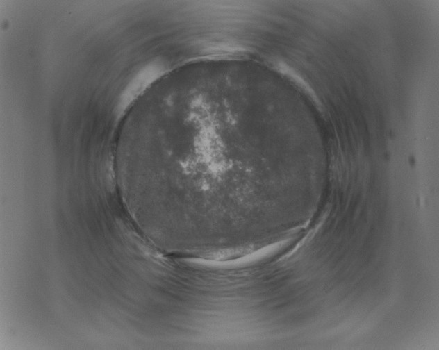 X0000070411362200606231817