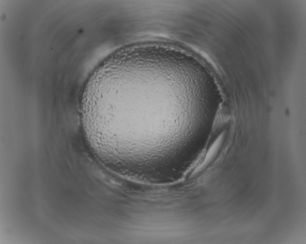 X0000070411363200606231817