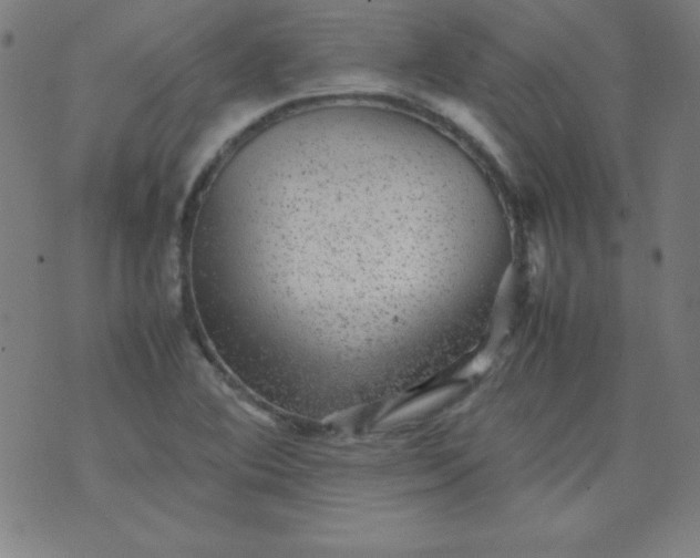 X0000070411364200606231817