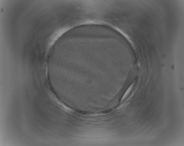 X0000070411367200606231817