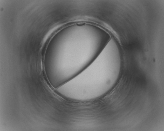 X0000070411368200606231817