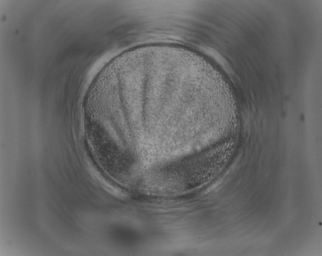 X0000070411371200606231817