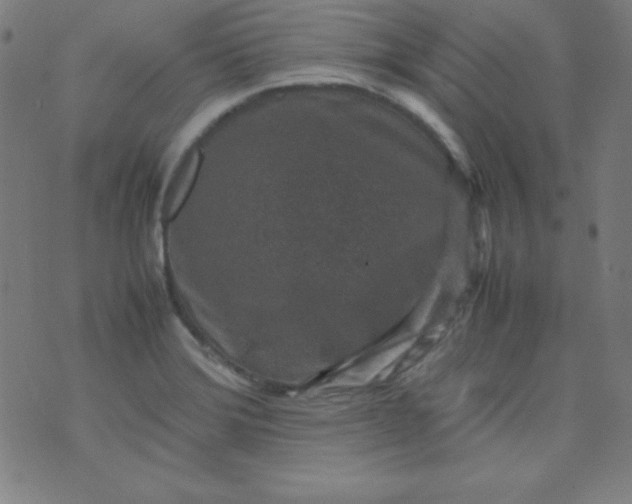 X0000070411372200606231817