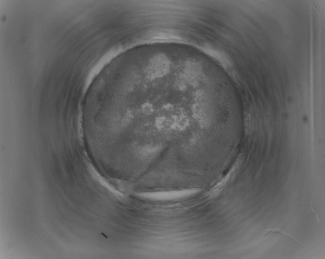 X0000070411374200606231817