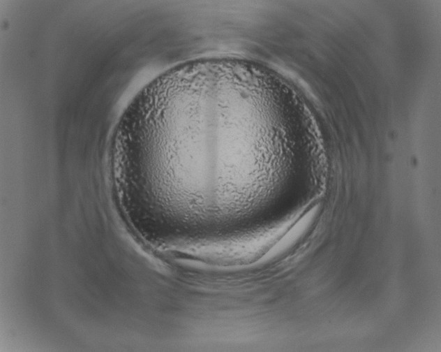 X0000070411375200606231817