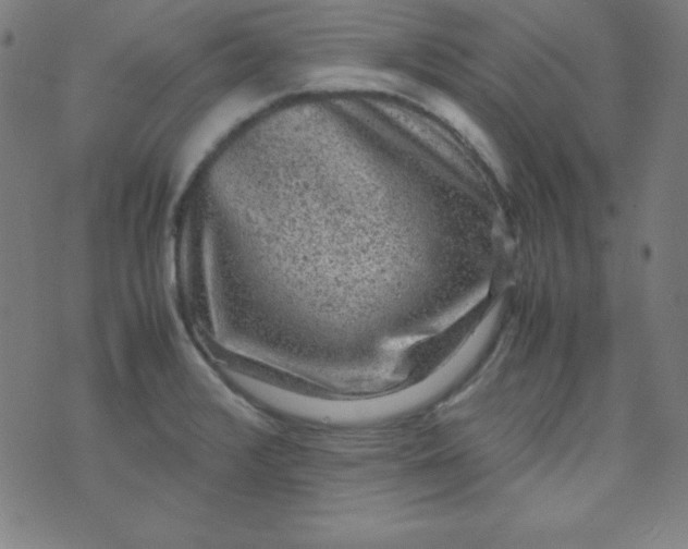 X0000070411376200606231817