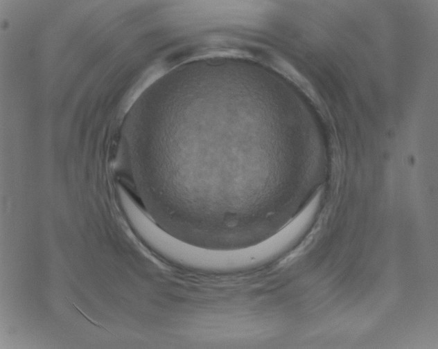 X0000070411377200606231817