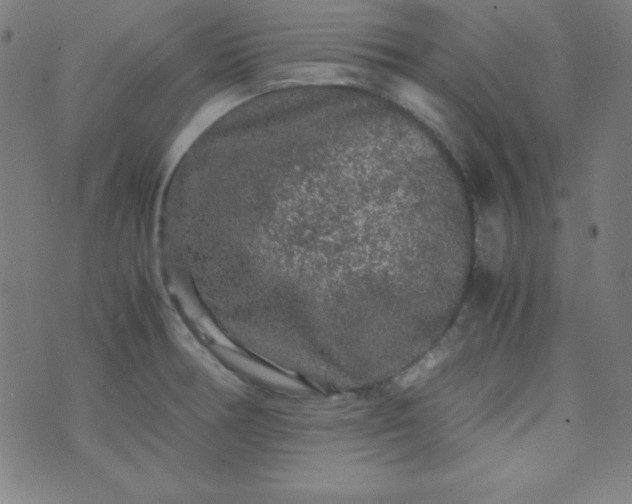 X0000070411378200606231817