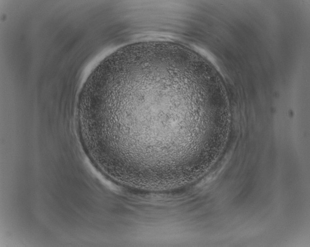 X0000070411379200606231817