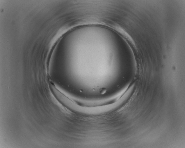 X0000070411380200606231817