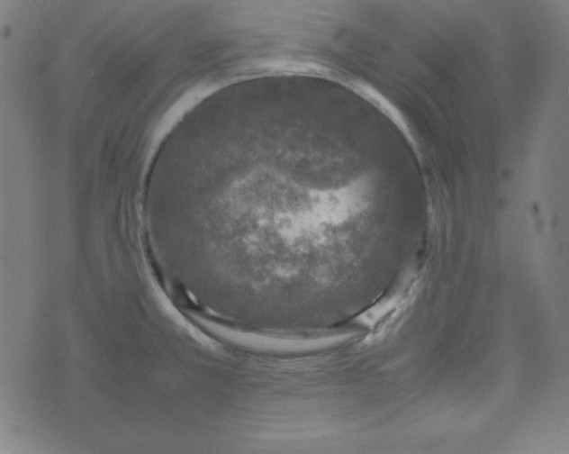 X0000070411381200606231817