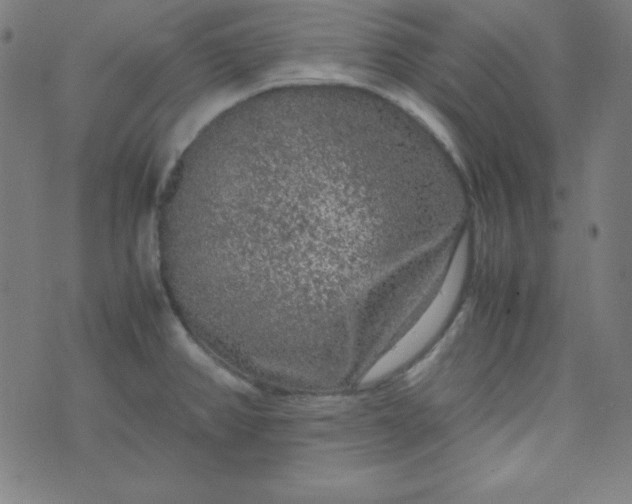 X0000070411382200606231817