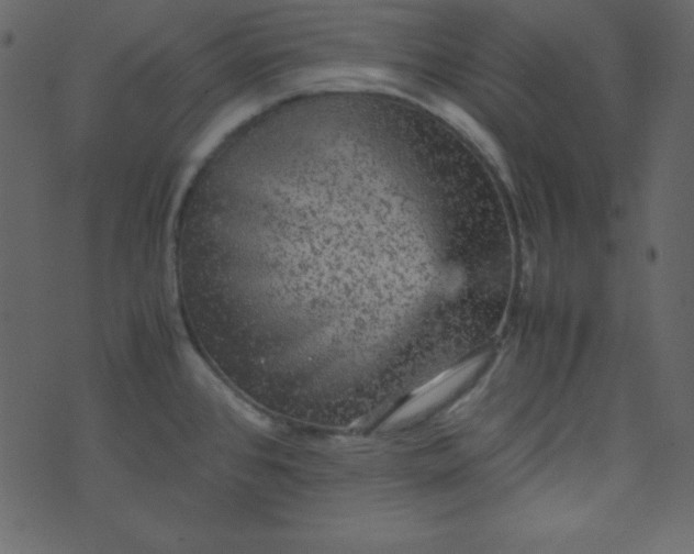 X0000070411384200606231817