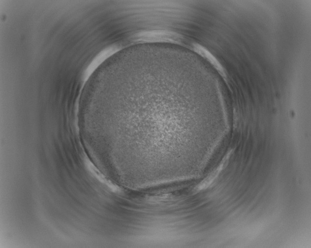 X0000070411386200606231817