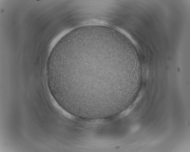 X0000070411387200606231817