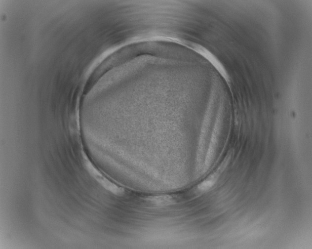 X0000070411388200606231817